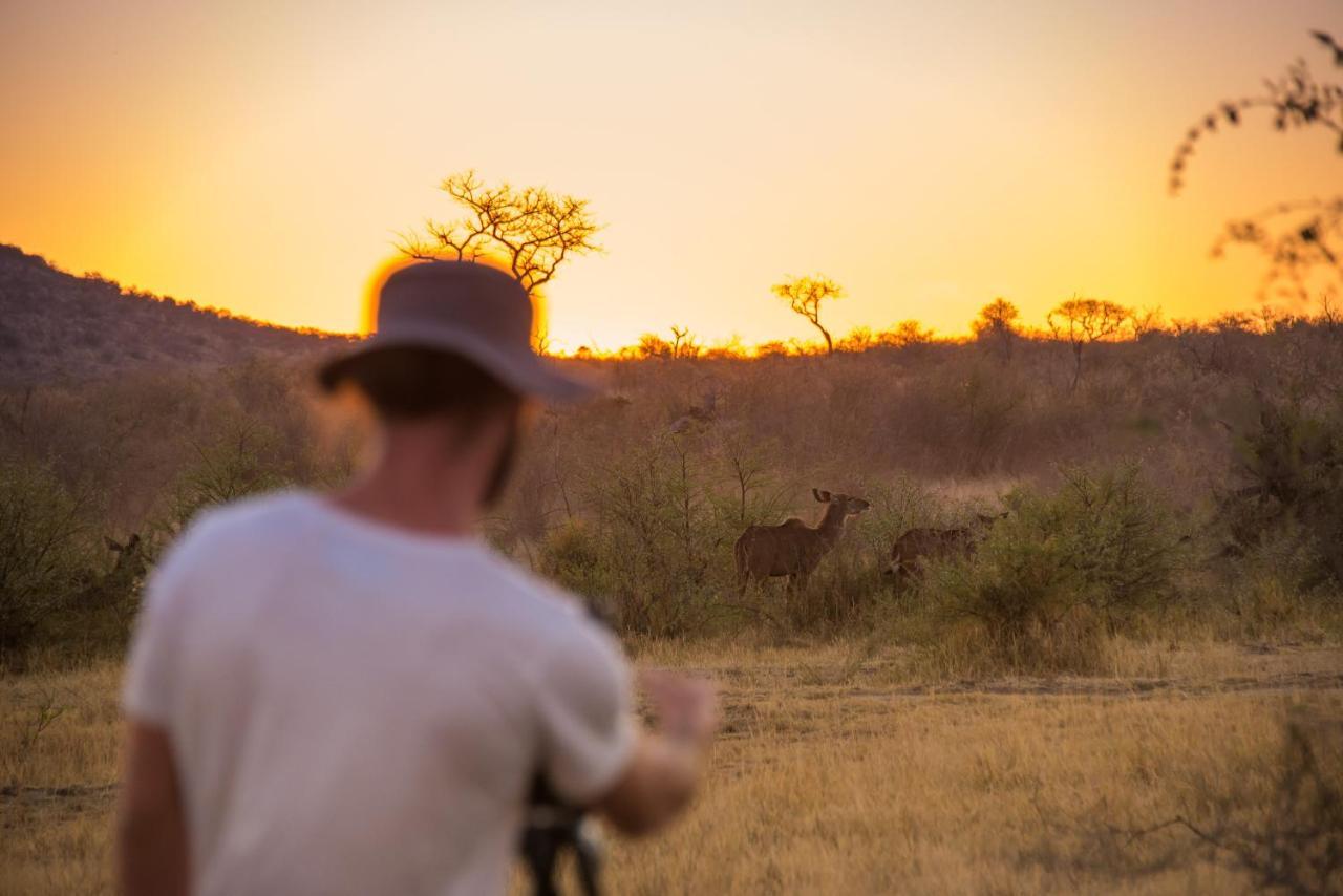 Rockfig Lodge Madikwe Madikwe Game Reserve Exteriér fotografie
